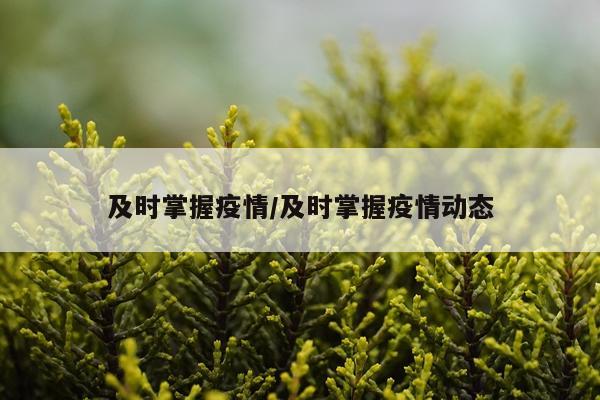 及时掌握疫情/及时掌握疫情动态