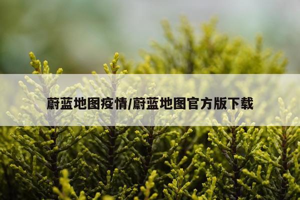 蔚蓝地图疫情/蔚蓝地图官方版下载