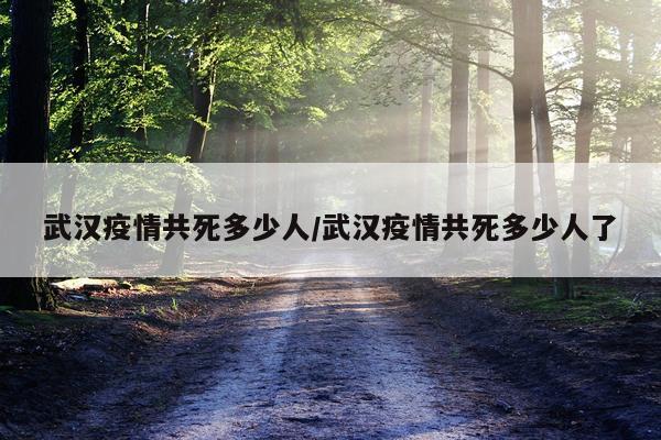 武汉疫情共死多少人/武汉疫情共死多少人了