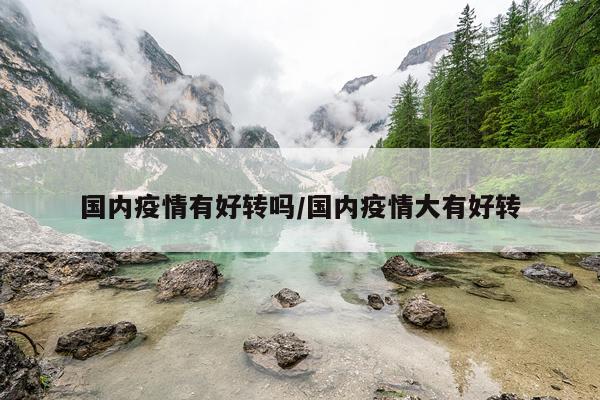 国内疫情有好转吗/国内疫情大有好转