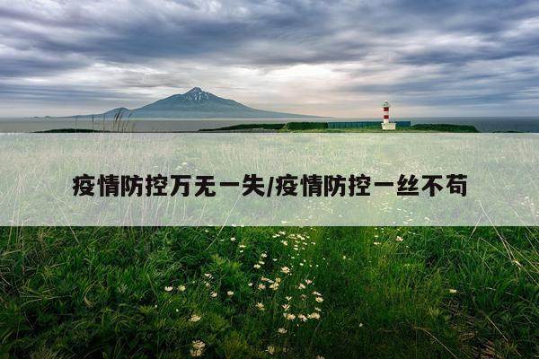 疫情防控万无一失/疫情防控一丝不苟