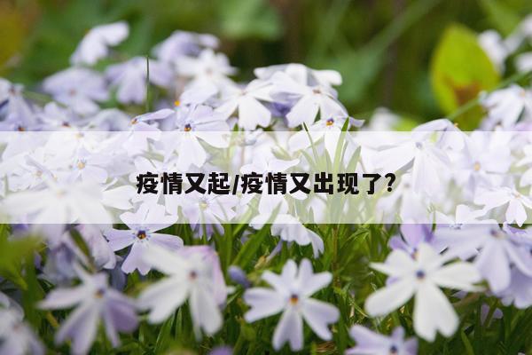疫情又起/疫情又出现了?