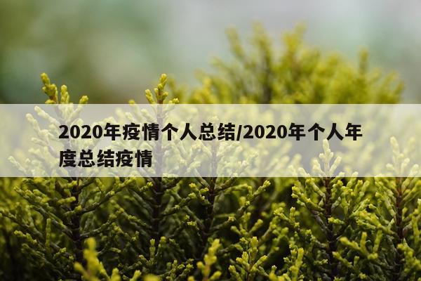 2020年疫情个人总结/2020年个人年度总结疫情
