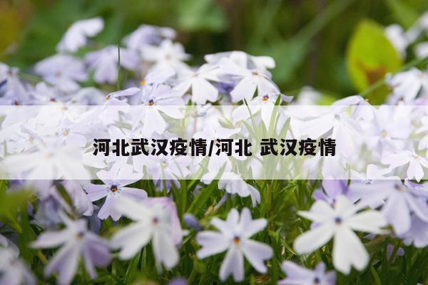 河北武汉疫情/河北 武汉疫情