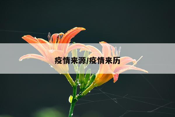 疫情来源/疫情来历