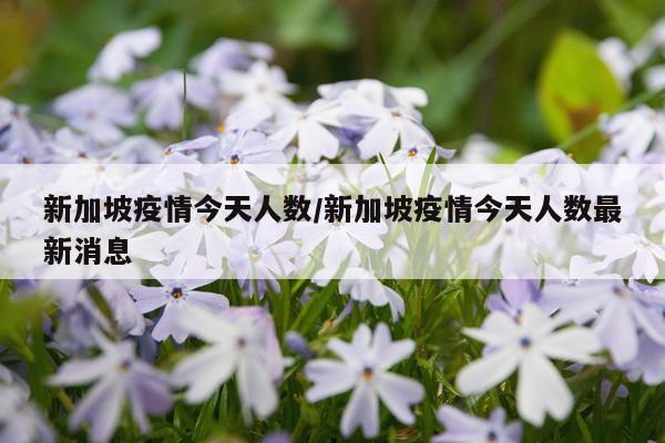 新加坡疫情今天人数/新加坡疫情今天人数最新消息