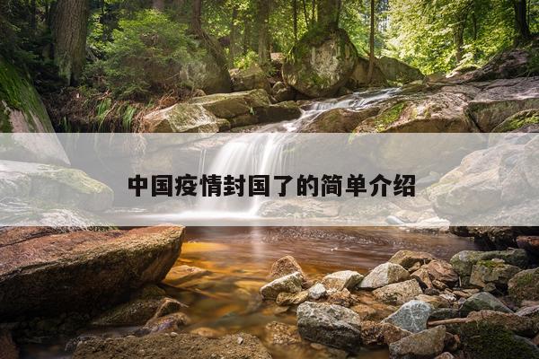 中国疫情封国了的简单介绍