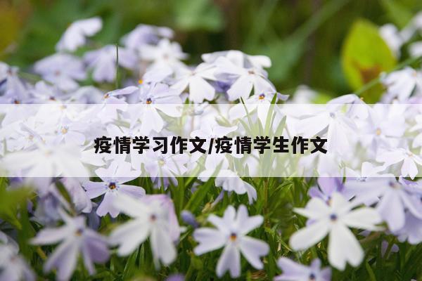 疫情学习作文/疫情学生作文