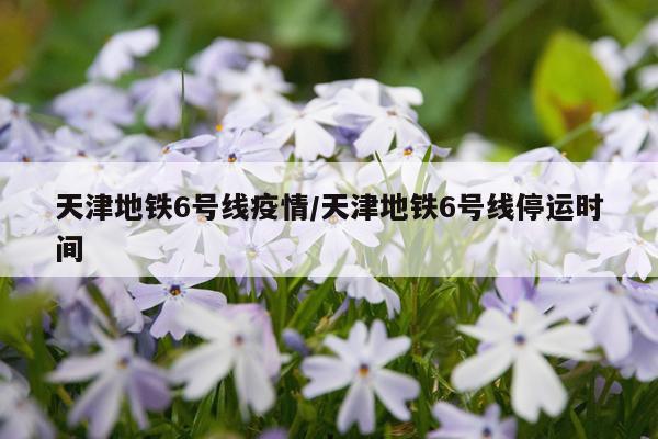 天津地铁6号线疫情/天津地铁6号线停运时间