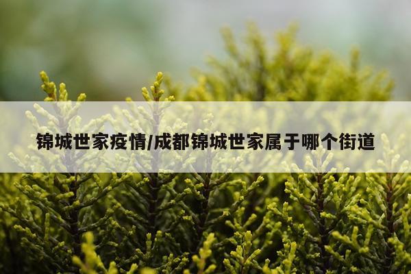 锦城世家疫情/成都锦城世家属于哪个街道