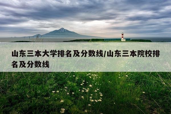 山东三本大学排名及分数线/山东三本院校排名及分数线