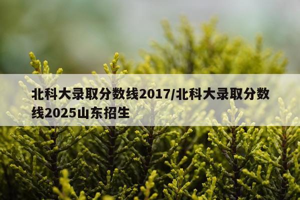 北科大录取分数线2017/北科大录取分数线2025山东招生