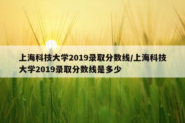 上海科技大学2019录取分数线/上海科技大学2019录取分数线是多少