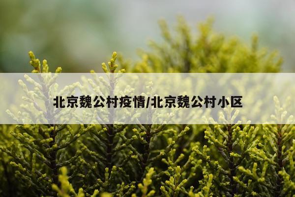 北京魏公村疫情/北京魏公村小区