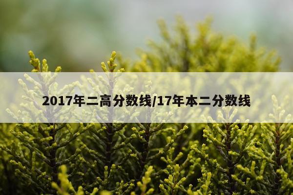 2017年二高分数线/17年本二分数线