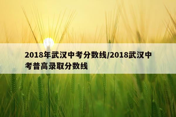 2018年武汉中考分数线/2018武汉中考普高录取分数线