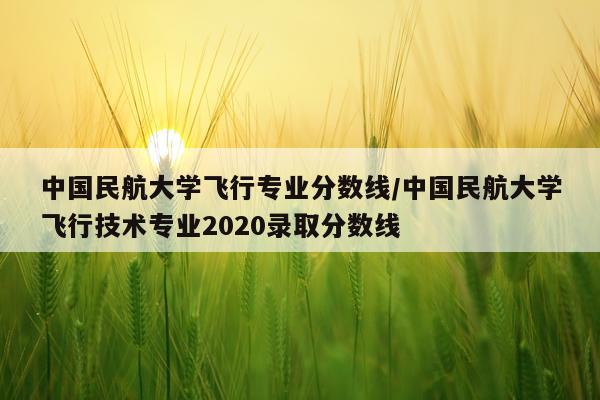 中国民航大学飞行专业分数线/中国民航大学飞行技术专业2020录取分数线