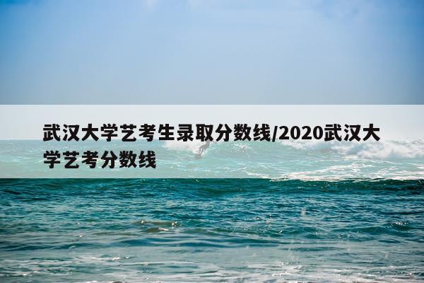 武汉大学艺考生录取分数线/2020武汉大学艺考分数线
