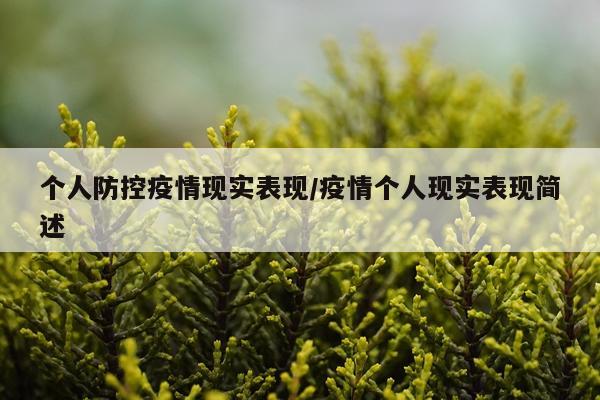 个人防控疫情现实表现/疫情个人现实表现简述