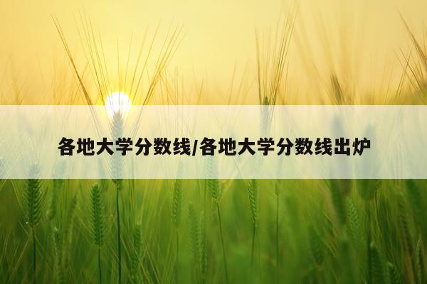 各地大学分数线/各地大学分数线出炉