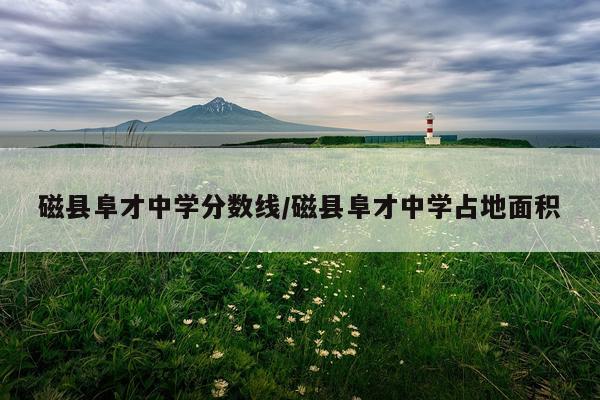 磁县阜才中学分数线/磁县阜才中学占地面积
