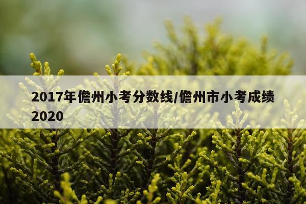 2017年儋州小考分数线/儋州市小考成绩2020