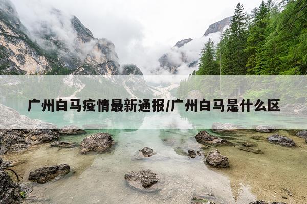 广州白马疫情最新通报/广州白马是什么区