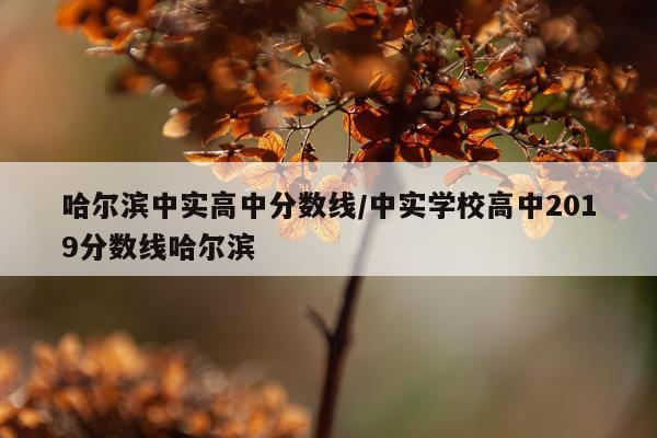 哈尔滨中实高中分数线/中实学校高中2019分数线哈尔滨