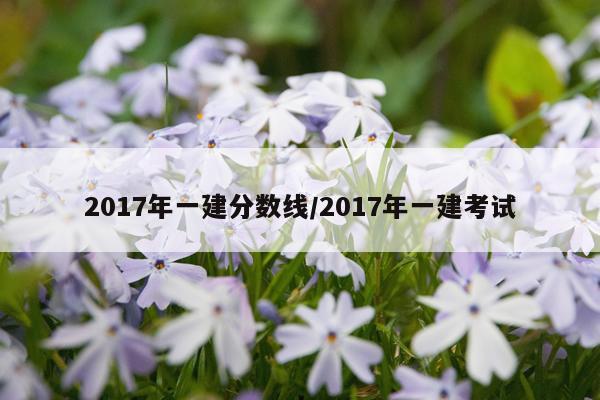 2017年一建分数线/2017年一建考试