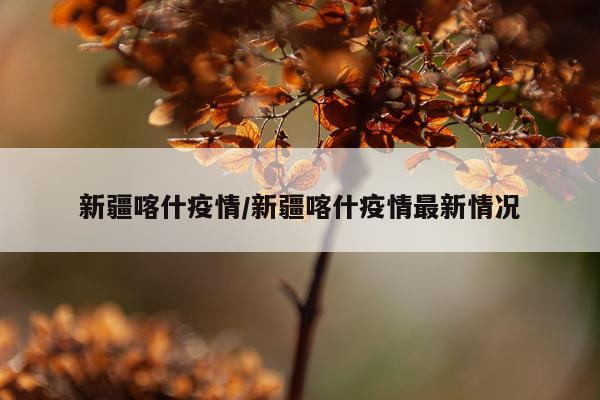 新疆喀什疫情/新疆喀什疫情最新情况
