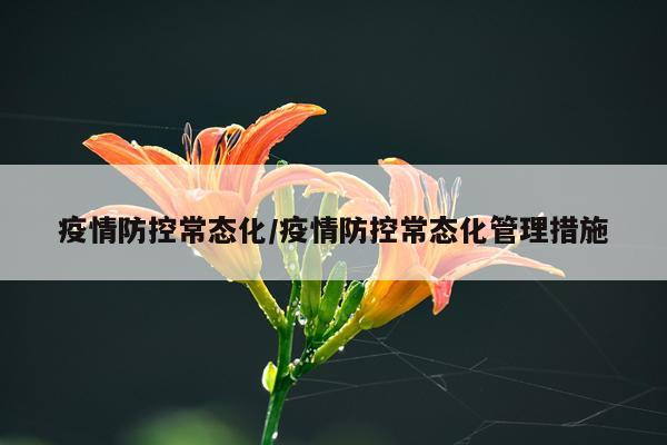 疫情防控常态化/疫情防控常态化管理措施