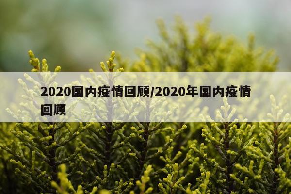 2020国内疫情回顾/2020年国内疫情回顾