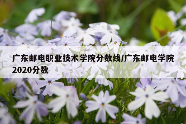 广东邮电职业技术学院分数线/广东邮电学院2020分数