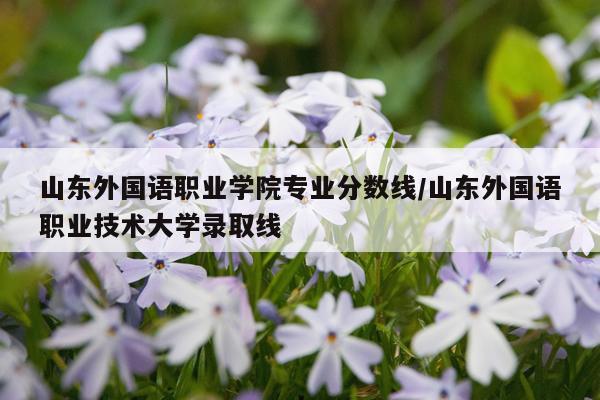 山东外国语职业学院专业分数线/山东外国语职业技术大学录取线