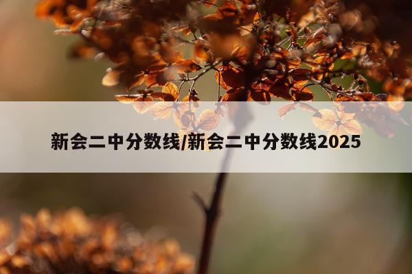 新会二中分数线/新会二中分数线2025