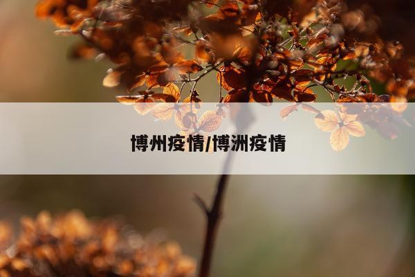 博州疫情/博洲疫情