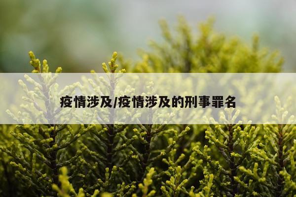 疫情涉及/疫情涉及的刑事罪名