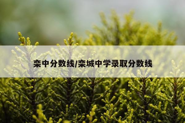 栾中分数线/栾城中学录取分数线