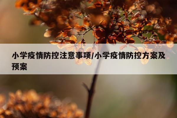 小学疫情防控注意事项/小学疫情防控方案及预案