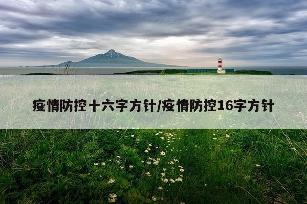 疫情防控十六字方针/疫情防控16字方针