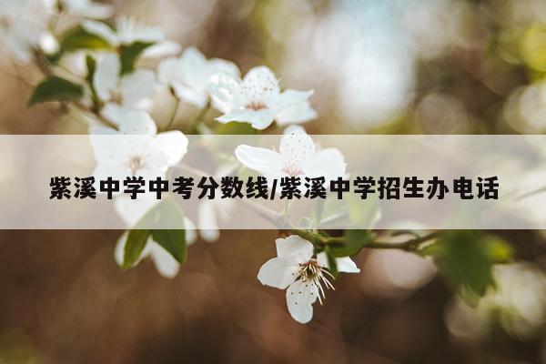 紫溪中学中考分数线/紫溪中学招生办电话