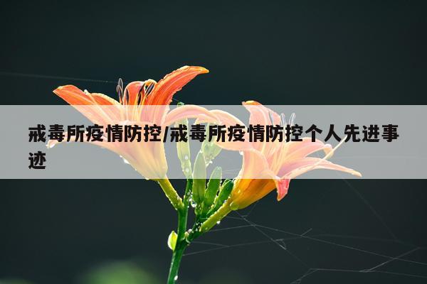 戒毒所疫情防控/戒毒所疫情防控个人先进事迹