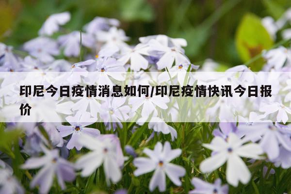 印尼今日疫情消息如何/印尼疫情快讯今日报价