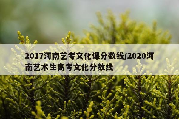 2017河南艺考文化课分数线/2020河南艺术生高考文化分数线