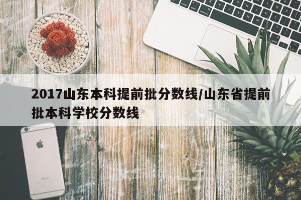 2017山东本科提前批分数线/山东省提前批本科学校分数线