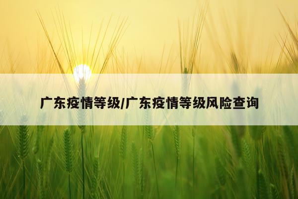 广东疫情等级/广东疫情等级风险查询