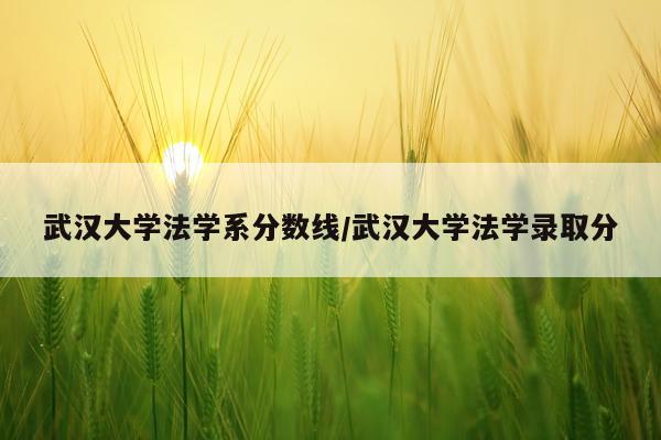 武汉大学法学系分数线/武汉大学法学录取分