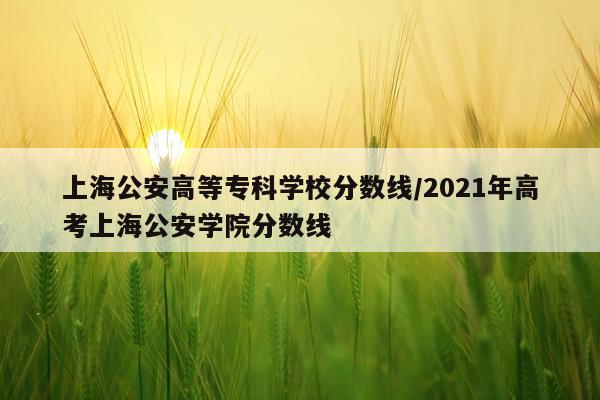 上海公安高等专科学校分数线/2021年高考上海公安学院分数线