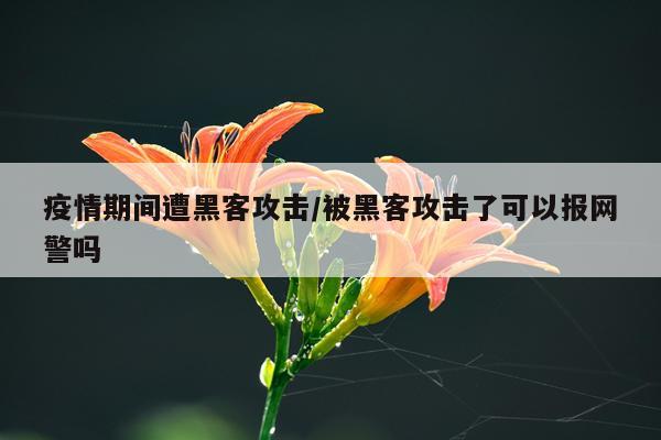 疫情期间遭黑客攻击/被黑客攻击了可以报网警吗