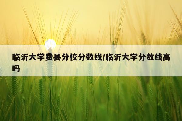 临沂大学费县分校分数线/临沂大学分数线高吗